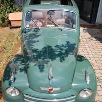 Fiat Belvedere 1953