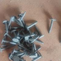 chiodi per tegola canadese 