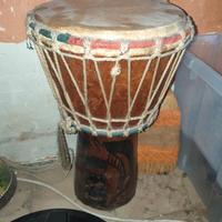 Bongo africano