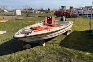 open conero delfino con motore