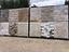 Immagine 7