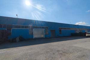 Capannone in Valtesino di Ripatransone