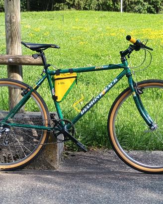 Diamond back DB Ascent - MTB Vintage Restomod