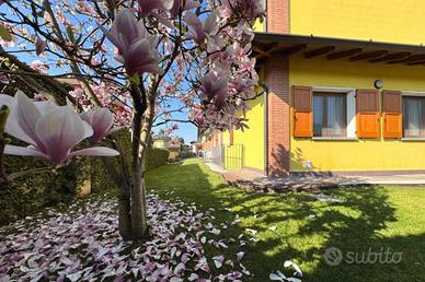 3 LOCALI A BAGNOLO CREMASCO