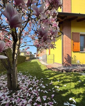 3 LOCALI A BAGNOLO CREMASCO