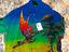 Immagine 3