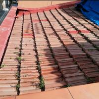 tetto e tettoia in coppo o coppi pietra terracotta