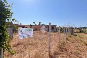 TER. RESIDENZIALE A ANZIO
