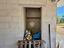 Immagine 19