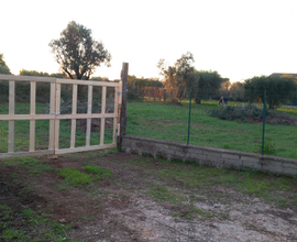 Terreno Gallicano