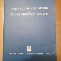 Introduzione allo studio del nuovo processo penale