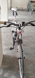 bottecchia