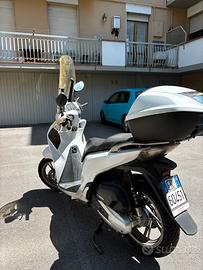 SH 125 2019