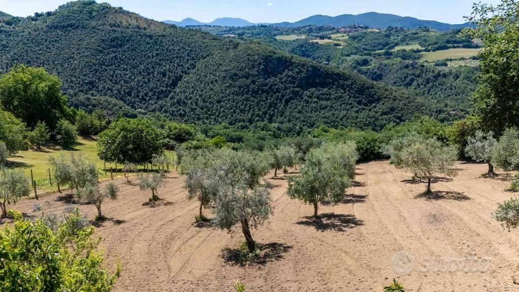 Terreno di 5330 m² a Salisano - Vista 4