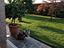 Immagine 23