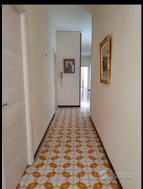Camere