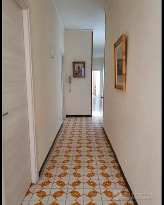 Camere