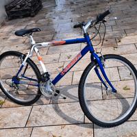 Mountain bike Carnielli