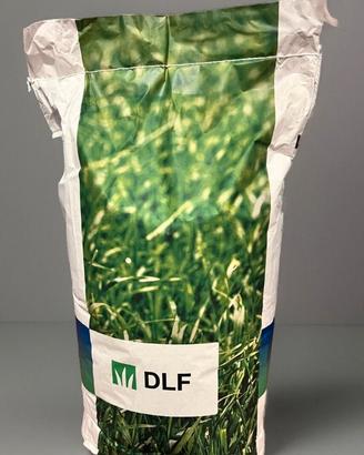 FESTUCA A. 20KG ERBA SEMENTI SEMI 01/26