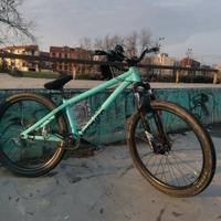 Bici dirt jump