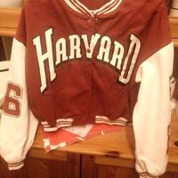 Giacca Harvard