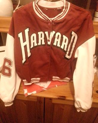 Giacca Harvard