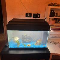 Acquario da 75 lt con accessori cibo e mangiatoia