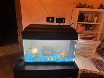 Acquario da 75 lt con accessori cibo e mangiatoia