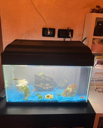 Acquario da 75 lt con accessori cibo e mangiatoia