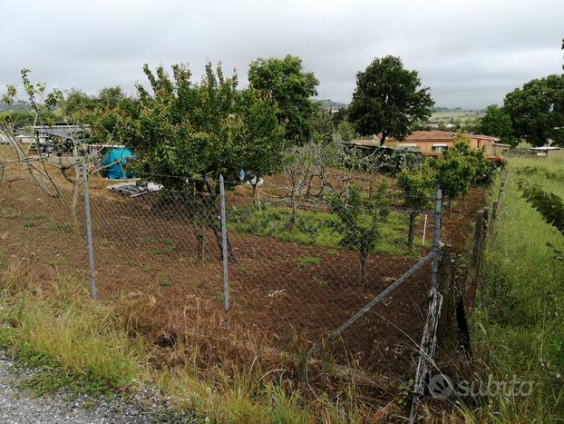 Terreno Agricolo