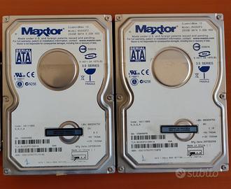 Coppia di Hard Disk SATA 3 250 Gb 3.5