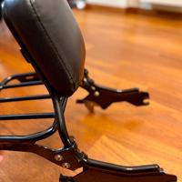 Sissy Bar e Portapacchi HD Softail