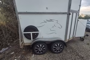 Fleurette Cavallo