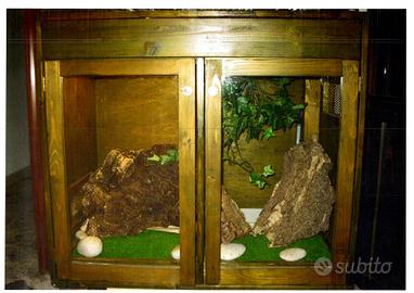 Teca / terrario