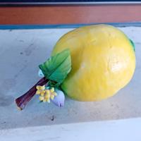 Limone di Capodimonte