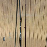 canna da carpfishing