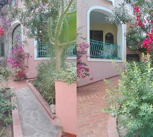 Immersa in pineta a Cala Liberotto; 150m dal Mare