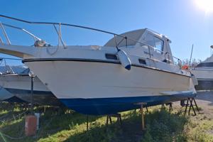 Barca a motore 225cv