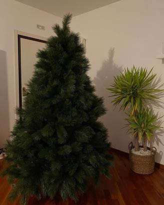 Albero di natale