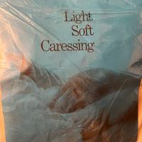 Piumone piuma d’oca