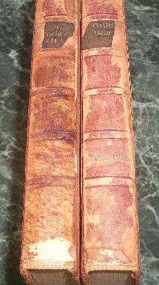 La civiltà del Rinascimento in Italia, 2 vol 1921