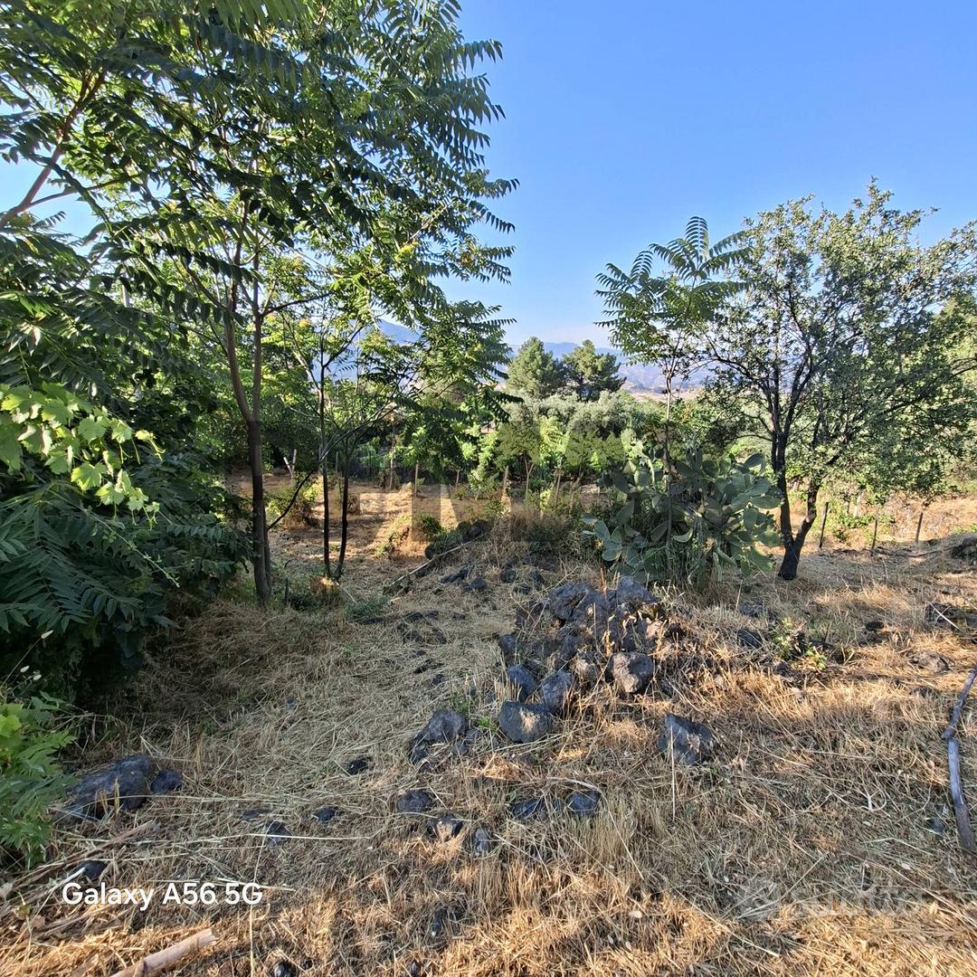 Terreno - Castiglione di Sicilia - Vista 5