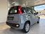Immagine 7