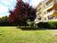 Immagine 19