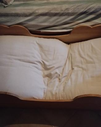 futon adaki bio certificato