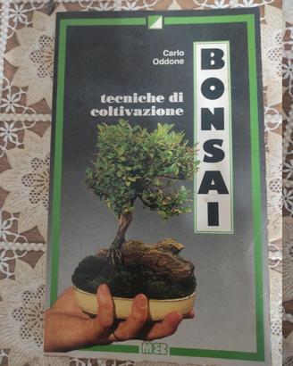 tecniche di coltivazione bonsai di Carlo Oddone