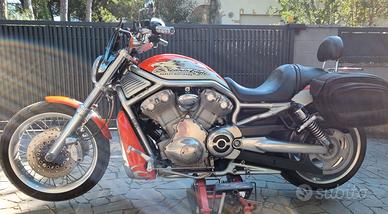 Harley Davidson VRSCX Screming Eagle