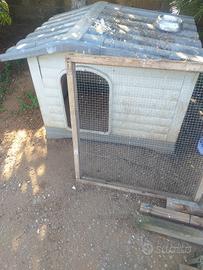 cuccia cane 