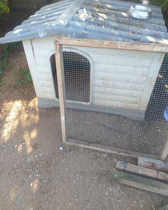 cuccia cane 