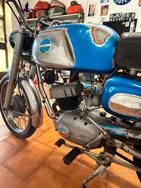 Benelli leoncino 125 targa libretto complementare